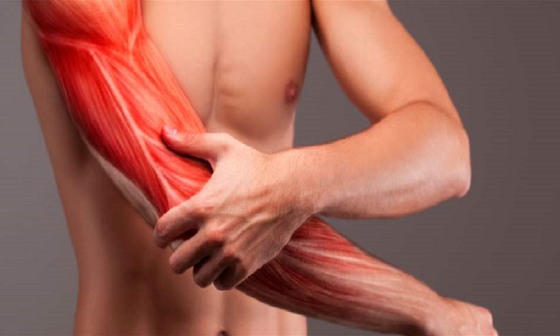 آلام العضلات أحد أهم الاعراض
