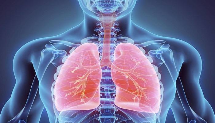 علاج أمراض الجهاز التنفسي