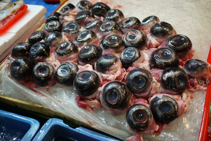 عيون سمك التونا