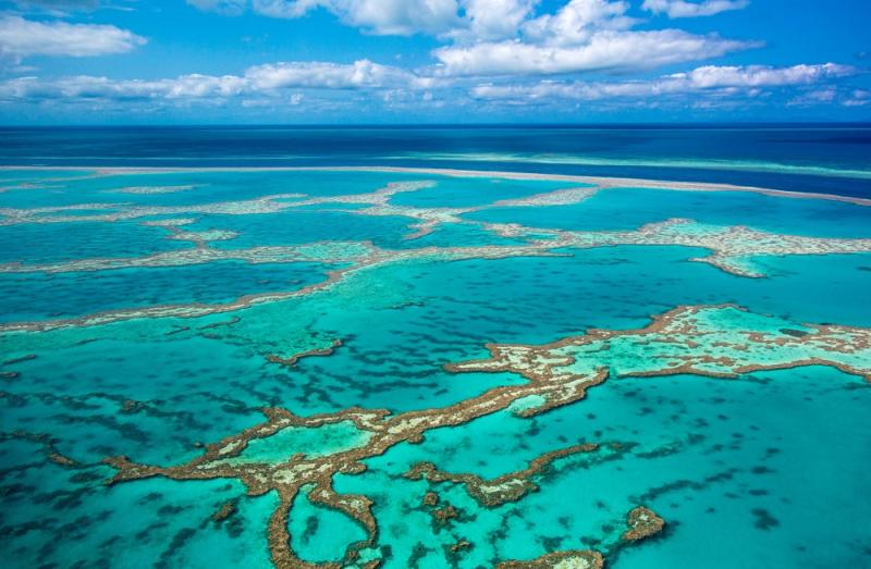 محمية الحاجز المرجاني العظيم ـ أستراليا