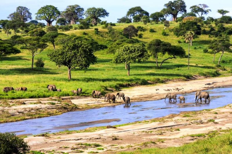 حديقة سيرينجيتي الوطنية ـ تنزانيا- من أكبر المحميات الطبيعية