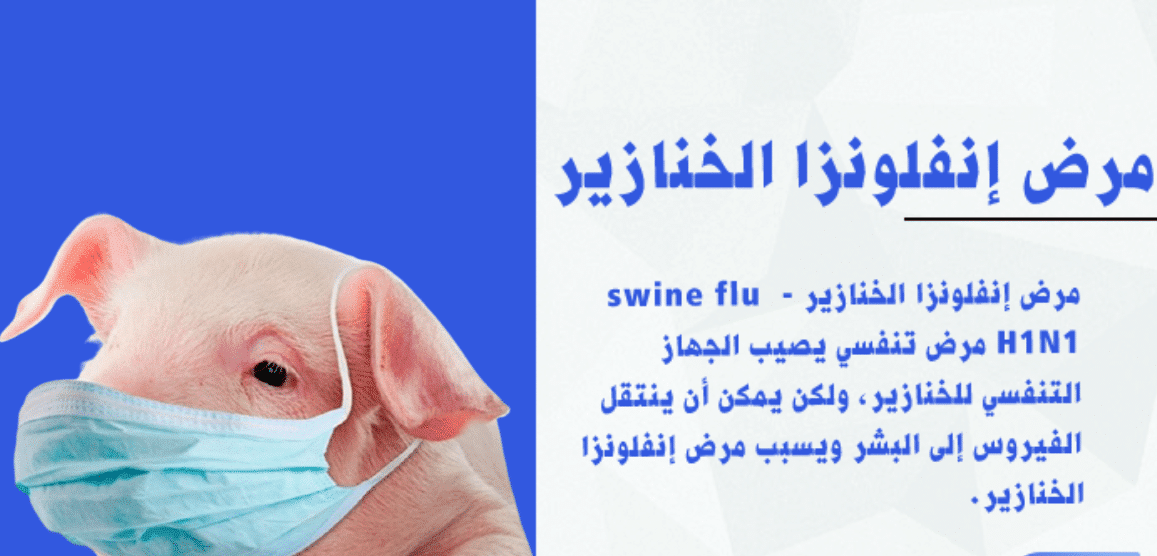 انفلونزا الخنازير ( H1 N1 )